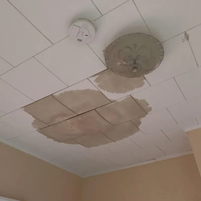 Ceiling Water Damage Repair in Aurora, TX