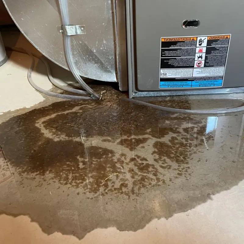 Pipe Burst and Leak Restoration in Aurora, TX